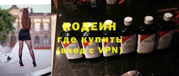 хмурый Алексин