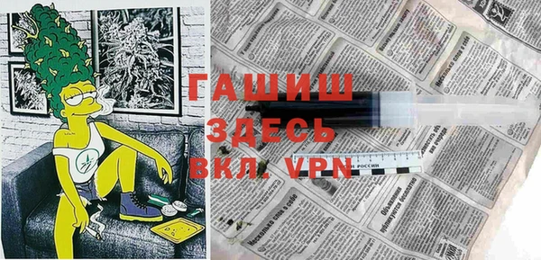 хмурый Алексин