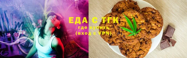 хмурый Алексин