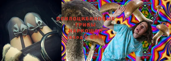 стафф Алексеевка