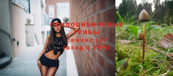 ALPHA PVP Алзамай