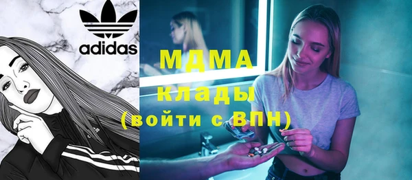 хмурый Алексин