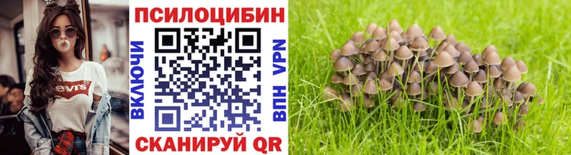 Галлюциногенные грибы Magic Shrooms  мега ссылки  Котлас 